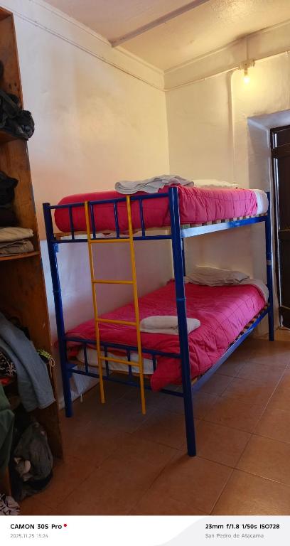 Hostal NATIVO - 2