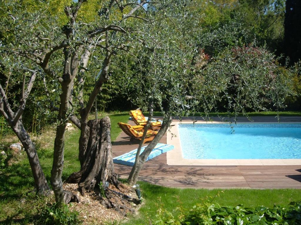 Il bambù - 2
