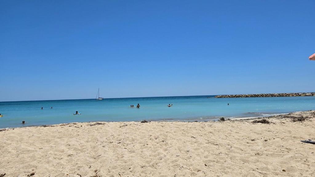 your paradise with 1Gb WiFi for remote work - 5