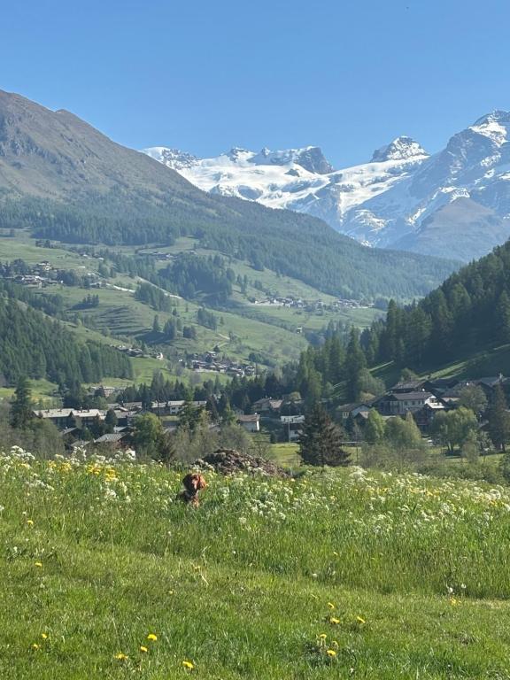 Attico a Champoluc a 3 minuti dagli impianti con vista Monte Rosa - 2