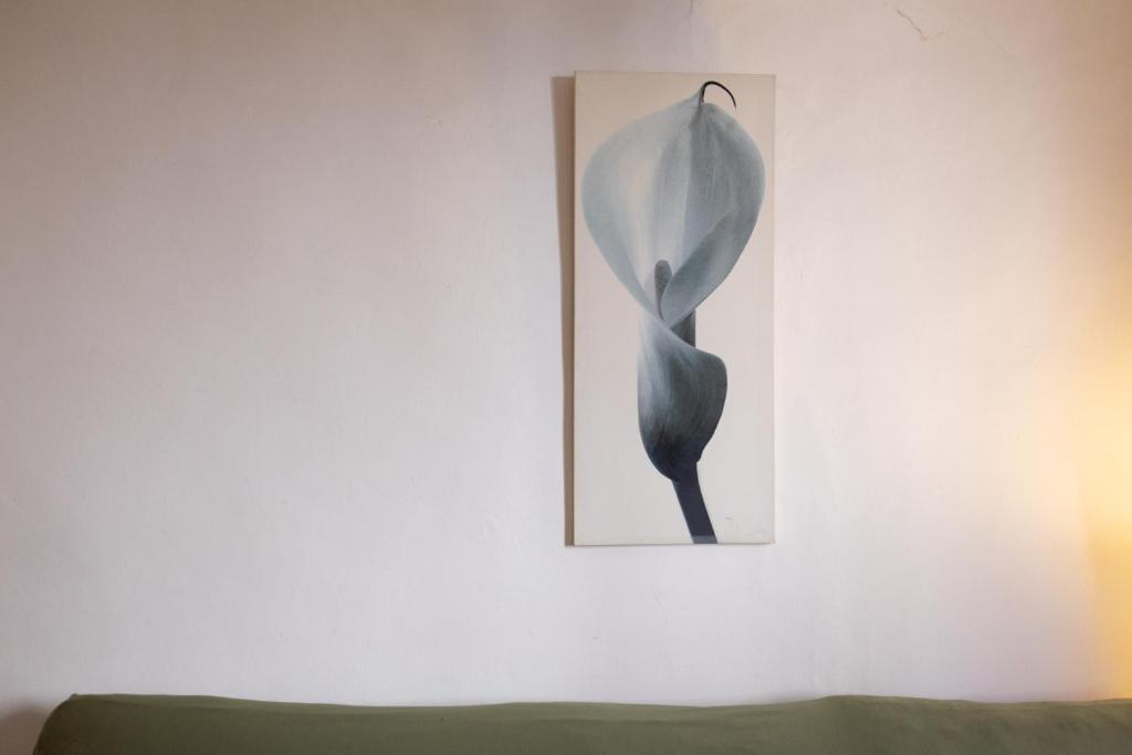 San Frediano Nest - 3
