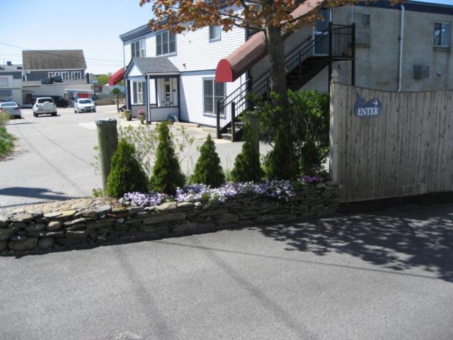 Sea Whale Motel photo