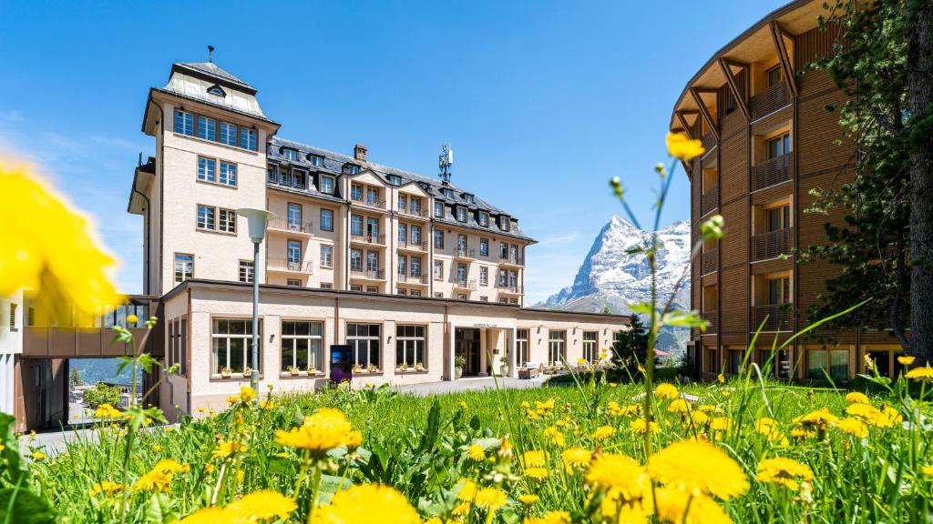 Hotel Mürren Palace - 2