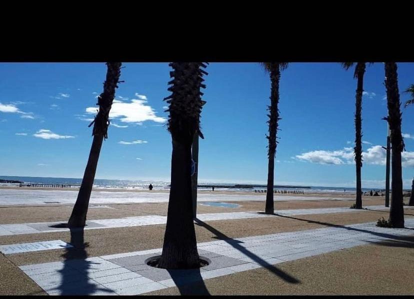 Superbe vue marina proche mer - 4