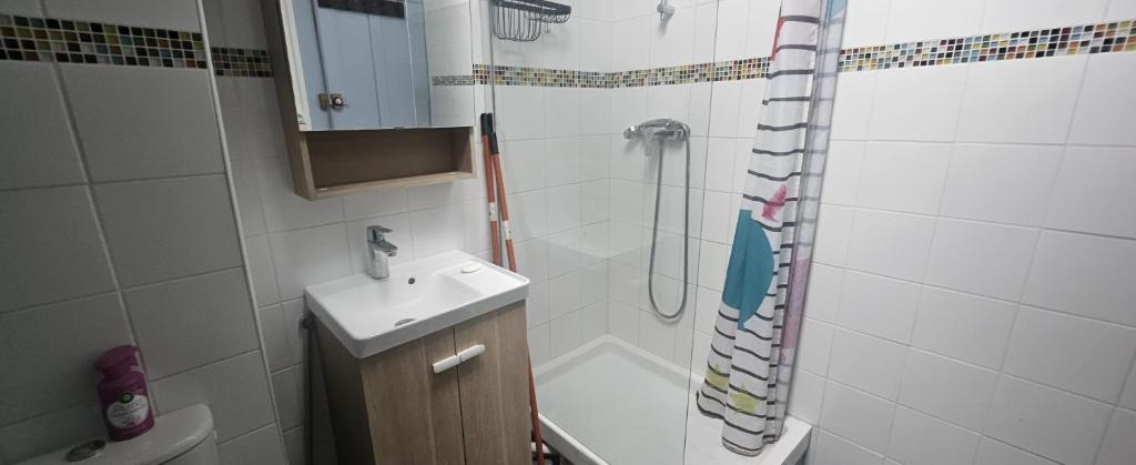 APART RENOVE PRES des DOCKS 4 PERS - 5
