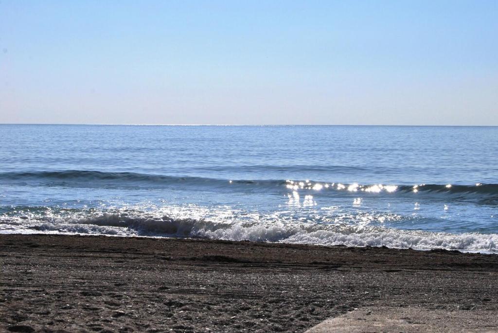 MalagadeVacaciones - Thiele Beach - 3