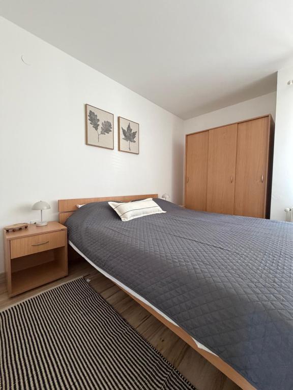 apartmani.miletic 1 - 3