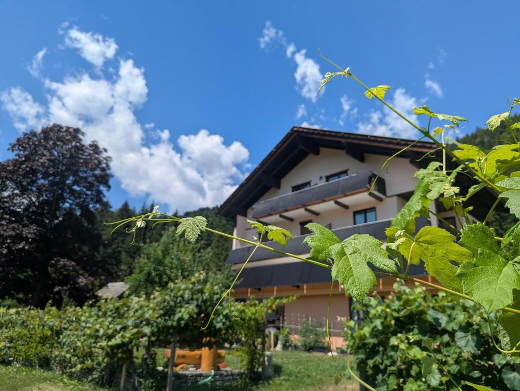 Enzianbrenner - 1