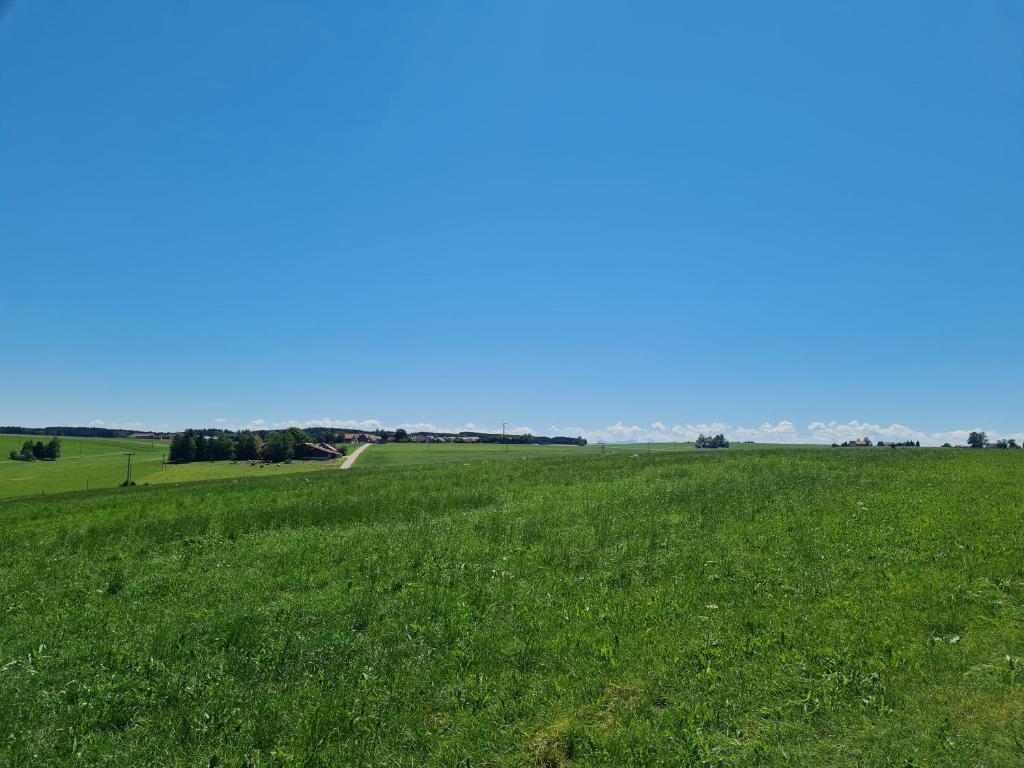 NaturZeit Allgäu - 3