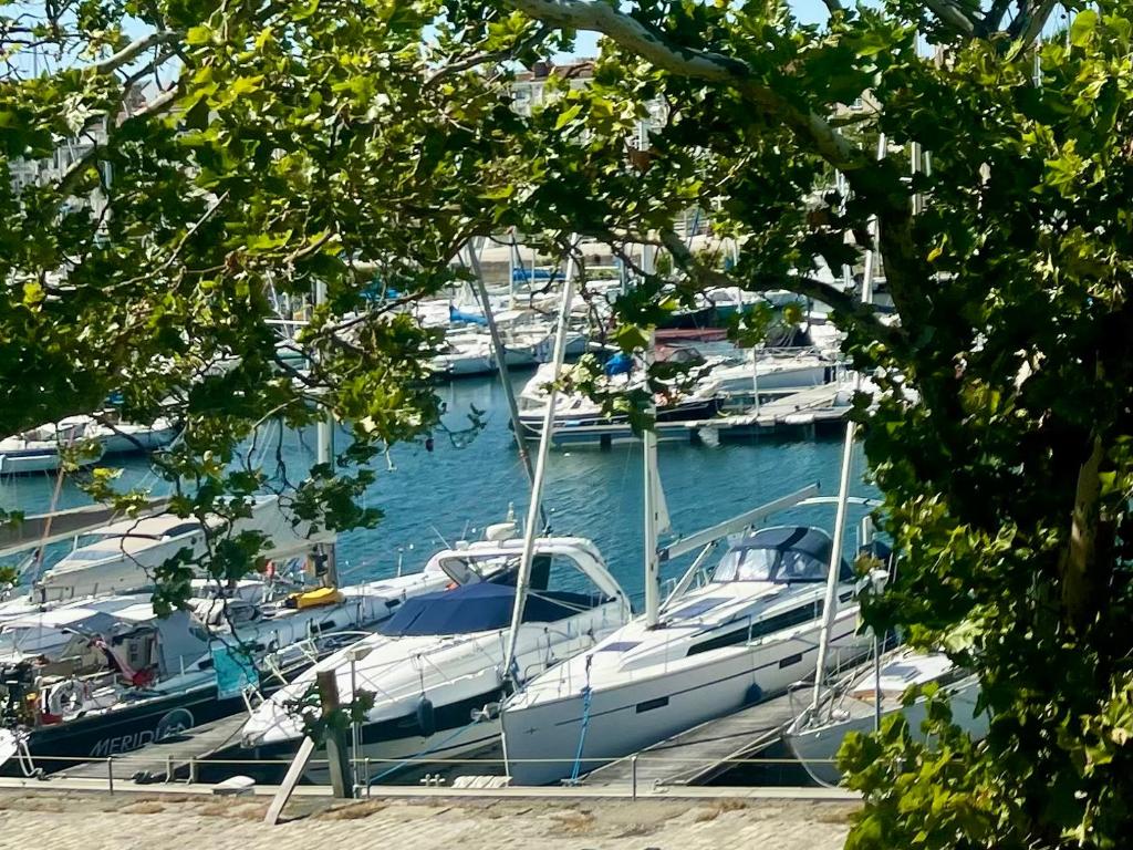 Vue sur le Vieux Port - 3
