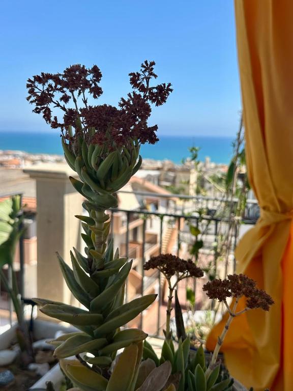 Villa Magda - 5