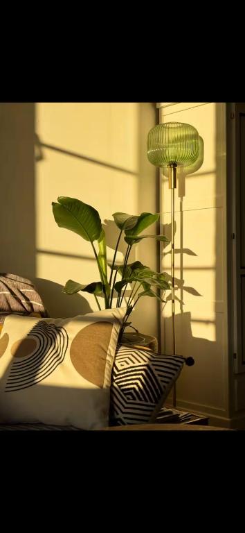 Studio with bright sleeping area - 2