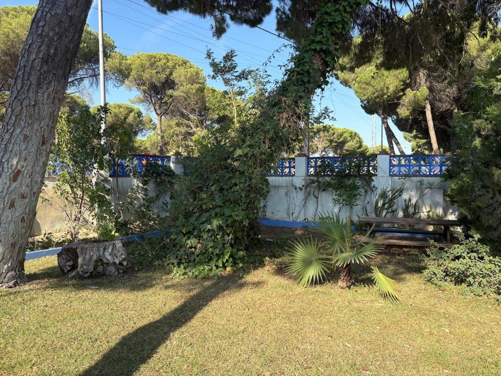 Villa La Mayorazga - 4