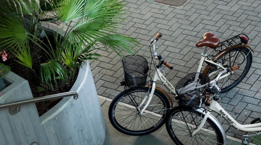 Hotel Tropical — Attractions in the area in Jesolo, Veneto