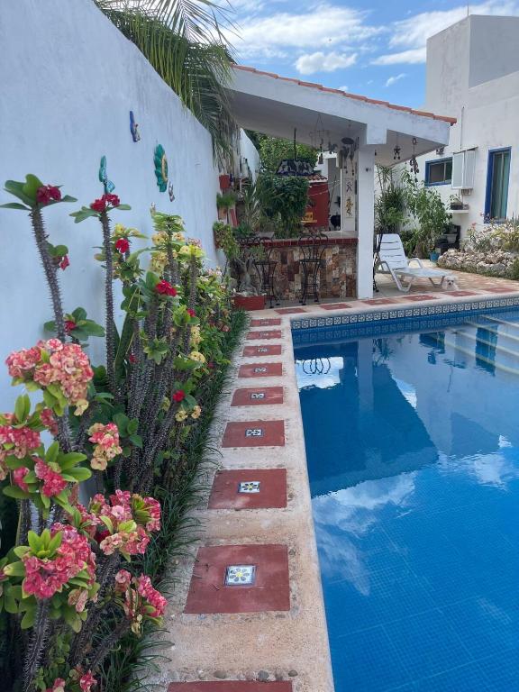 Casa Lupita - 5