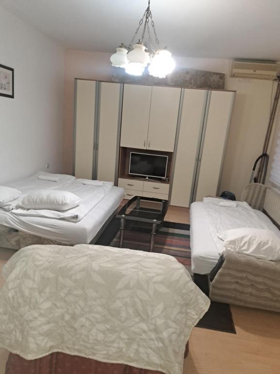 Apartments Petkovic - 5