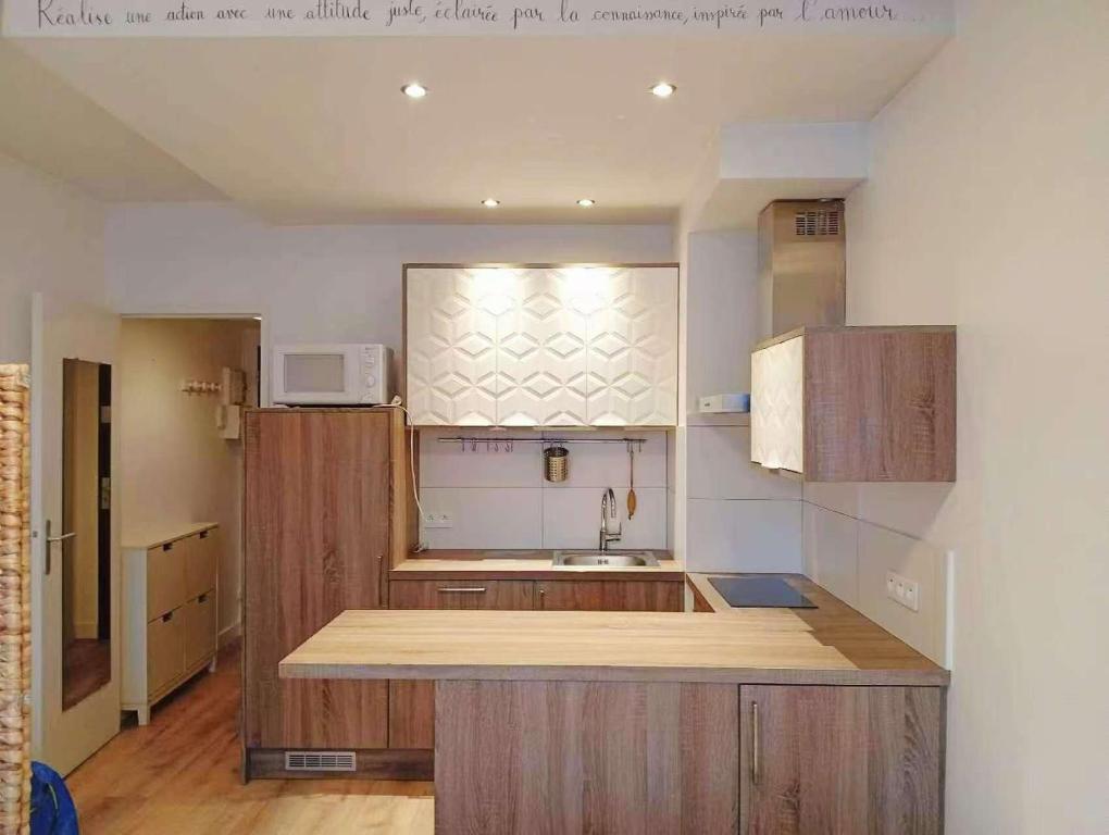 studio centre paris 15e near montparnasse - 3