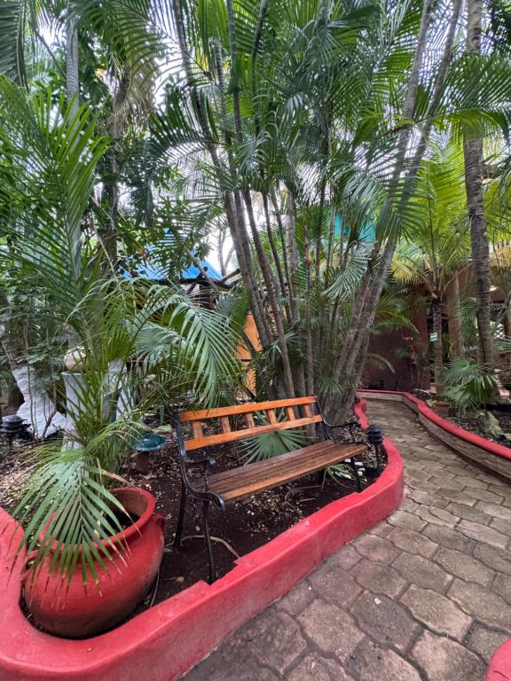 Cocos Cabañas Playa del Carmen Adults Only - 5