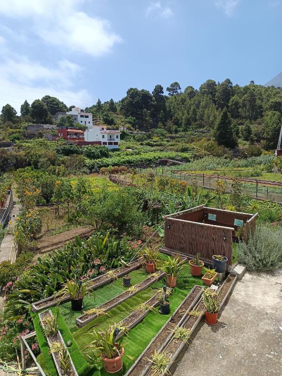 Loft Vista al Teide - 2