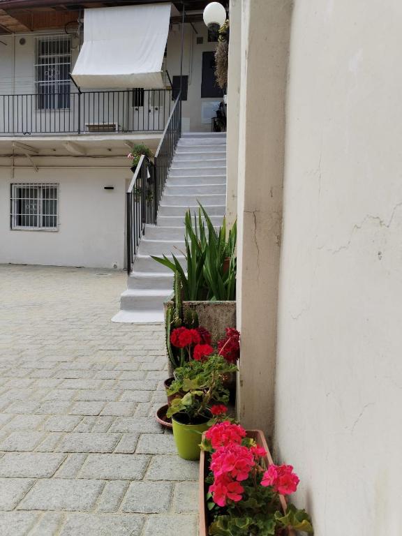 Casetta nel cortile - 5