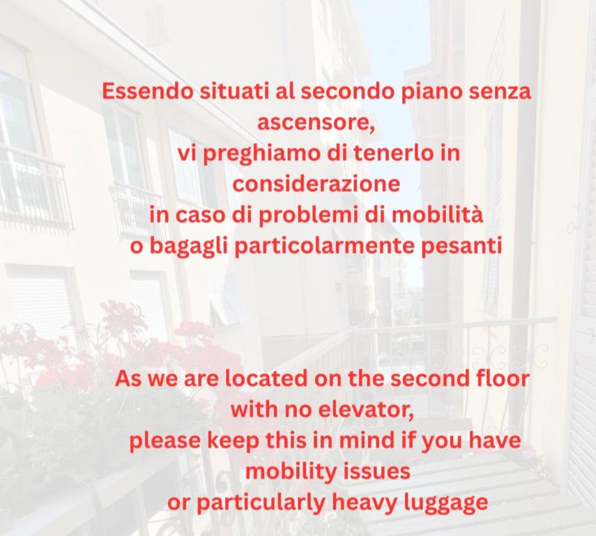 Il TulipanoNero - 2