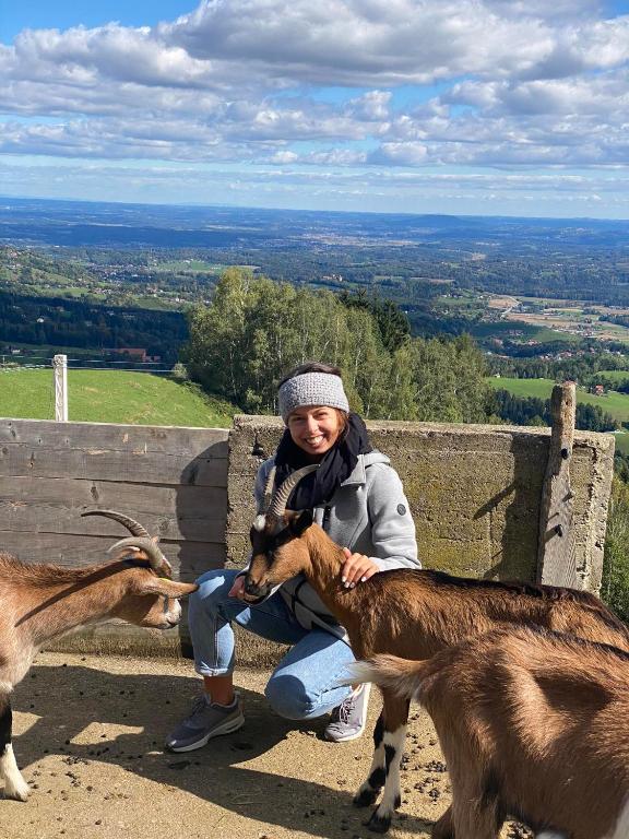 Seewaldhof - Urlaub am Bio-Wellnessbauernhof - 3