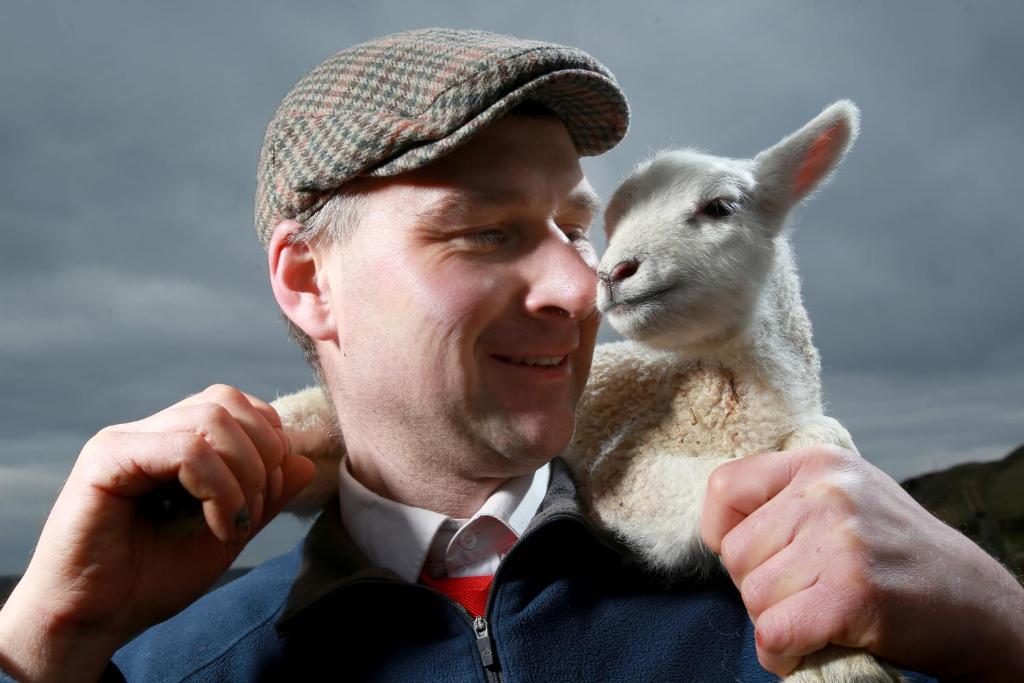 Coddy's Farm photo