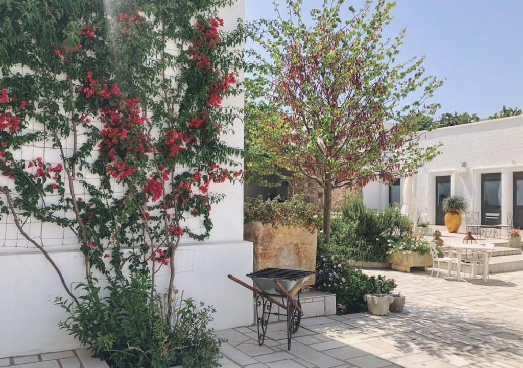 Soggiorno ideale per famiglie in un ambiente tranquillo - 4