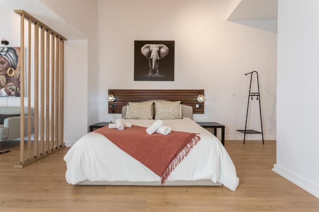 Lofts Calle Sol - 1