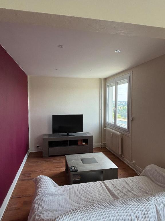 Appartement vue lac dAllier - 2