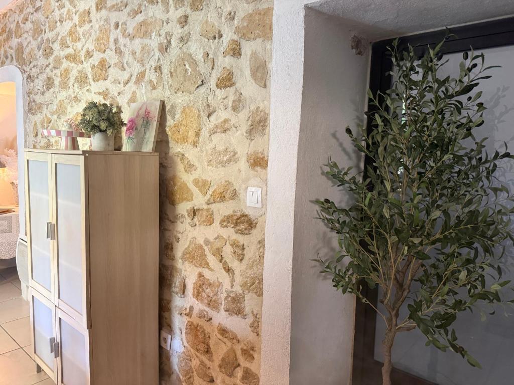 Le Refuge Secret du Ventoux Maison Authentique avec Jardin Privé et Charme Provençal - 3