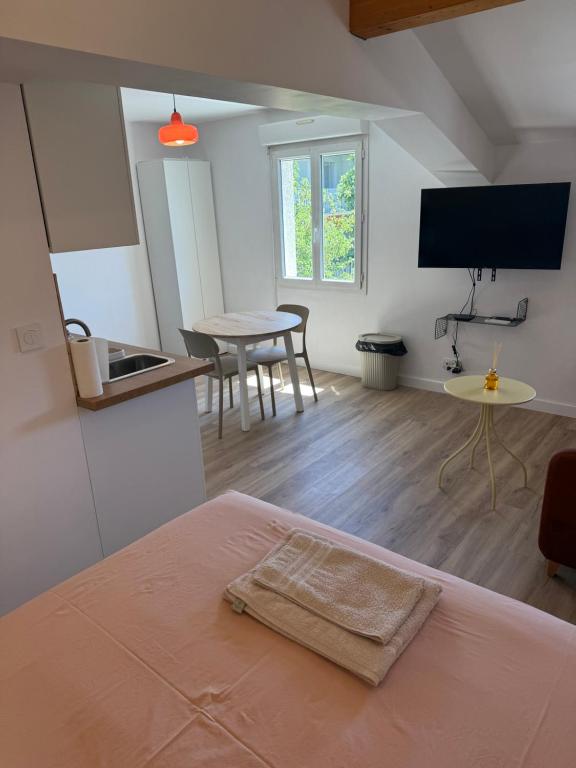 Studio Ô Maé proche Village Outlet - Aéroport - St-Quentin-Fallavier - 3