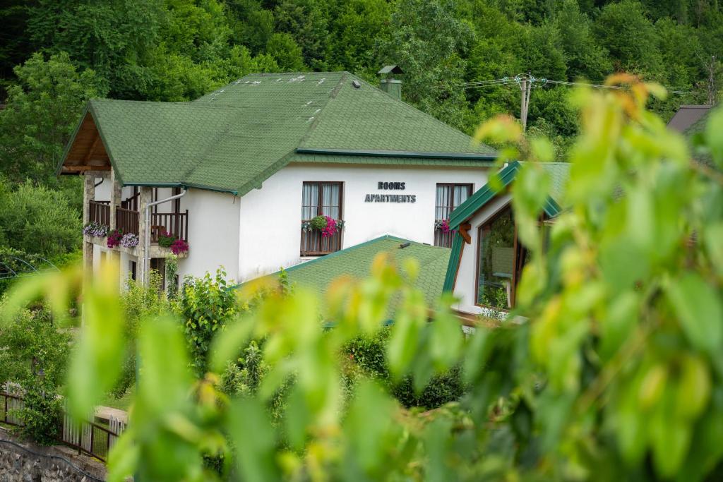 Rooms and apartmants Mirovic - 1