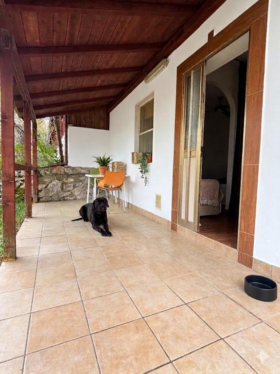 De Sio Country Village - 4
