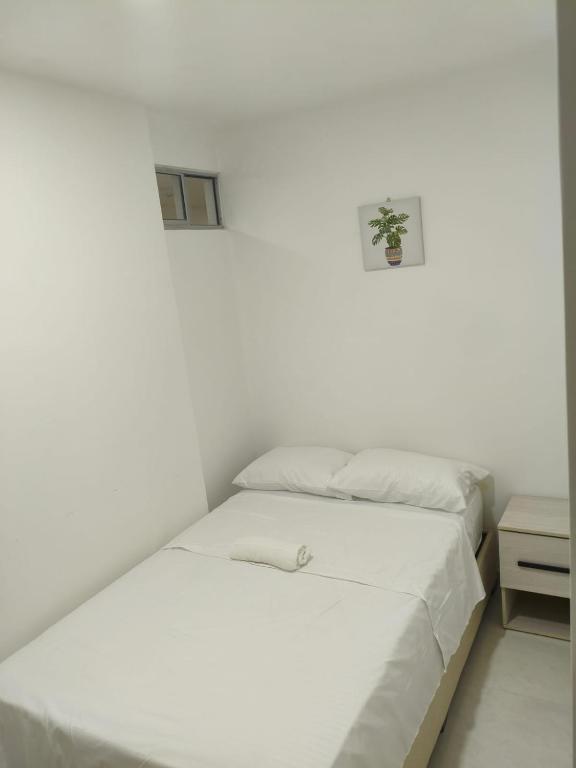 Beautiful apartment just a few steps from the beach - 3