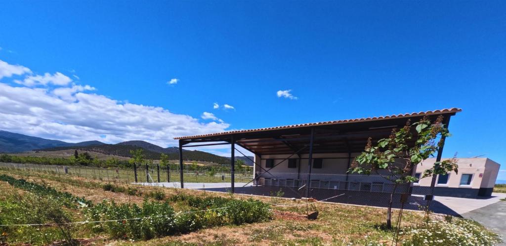 Camping & Área de Autocaravanas Las Viñas - 1