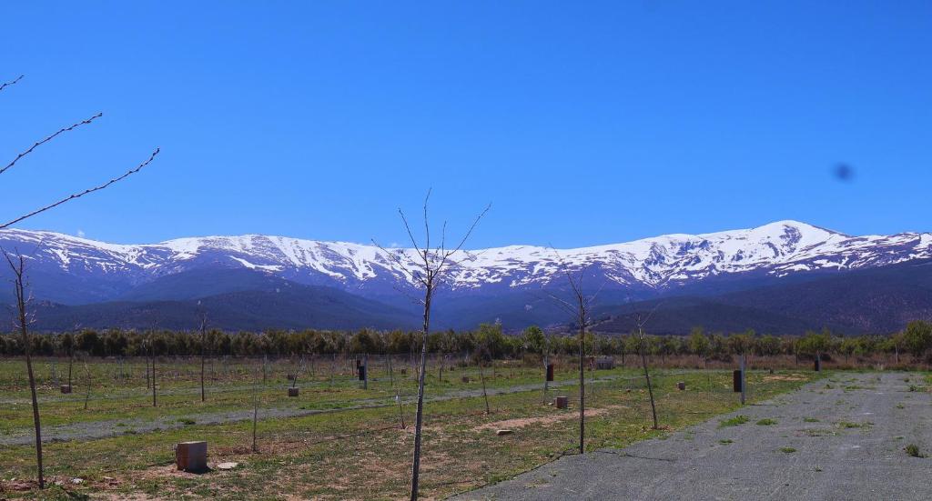 Camping & Área de Autocaravanas Las Viñas - 3