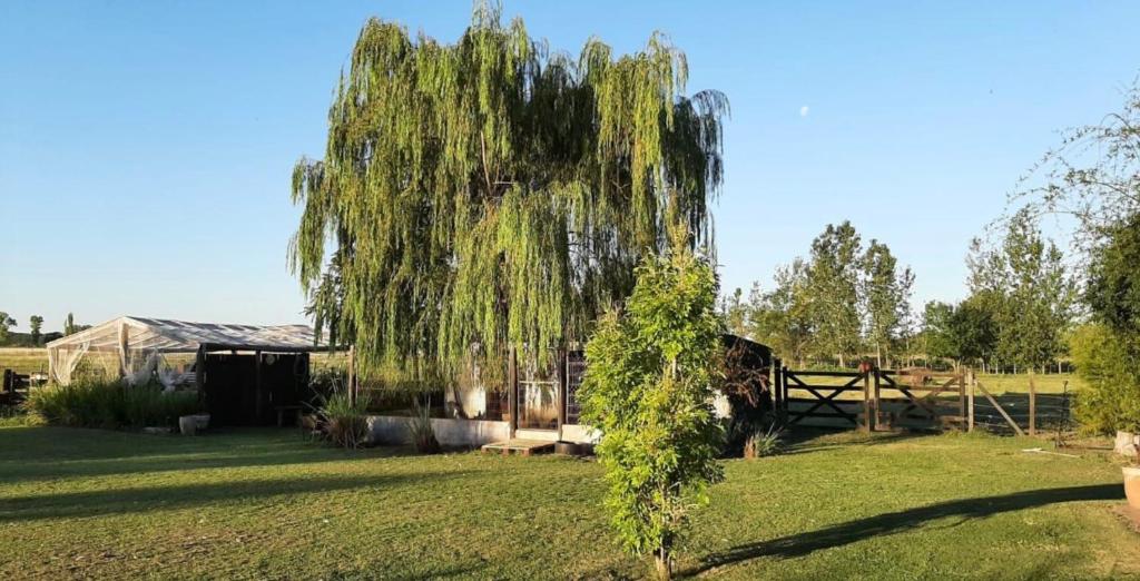 Casa en el campo - casa huéspedes en estupenda chacra de 10 has - 3
