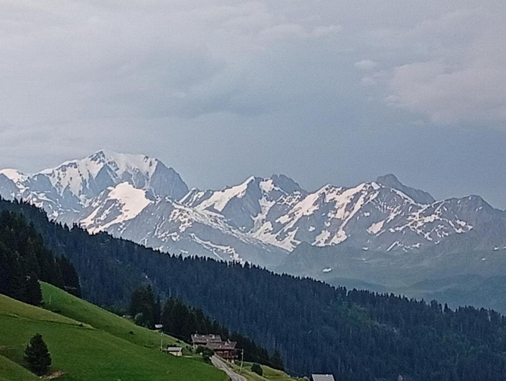 Les Fermes du Beaufortain - 1