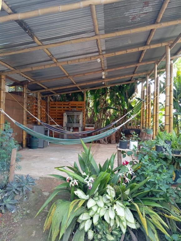 Wakaya Ecoaldea - 4