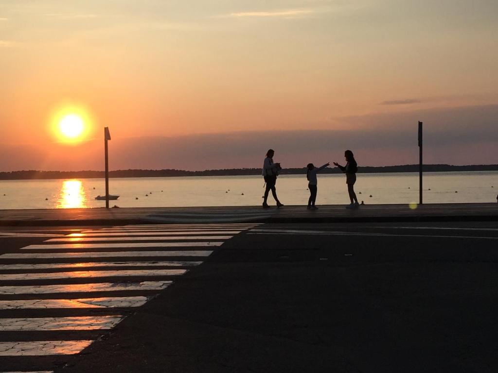 Spacieux studio Arcachon centre "5 nuits minimum" Parking gratuit - 3