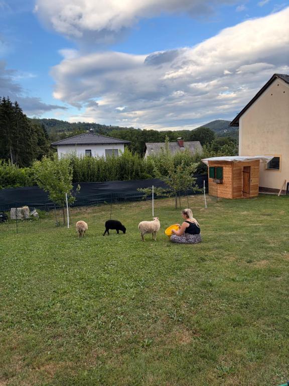 Uriges Bauernhaus mit Blick auf Graz - 4