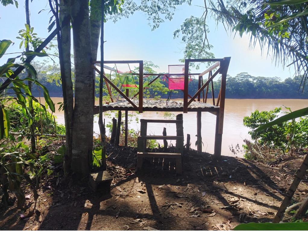 Musas Garden Lodge Tambopata - 4