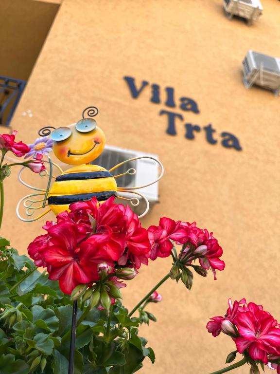 Apartman Trta - 3