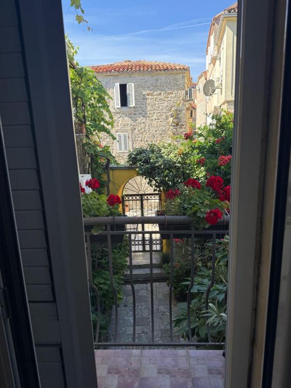 La Porta - Old Town, Budva - 2