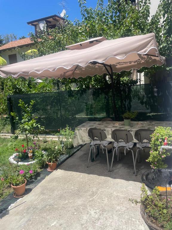 oxa home - 4