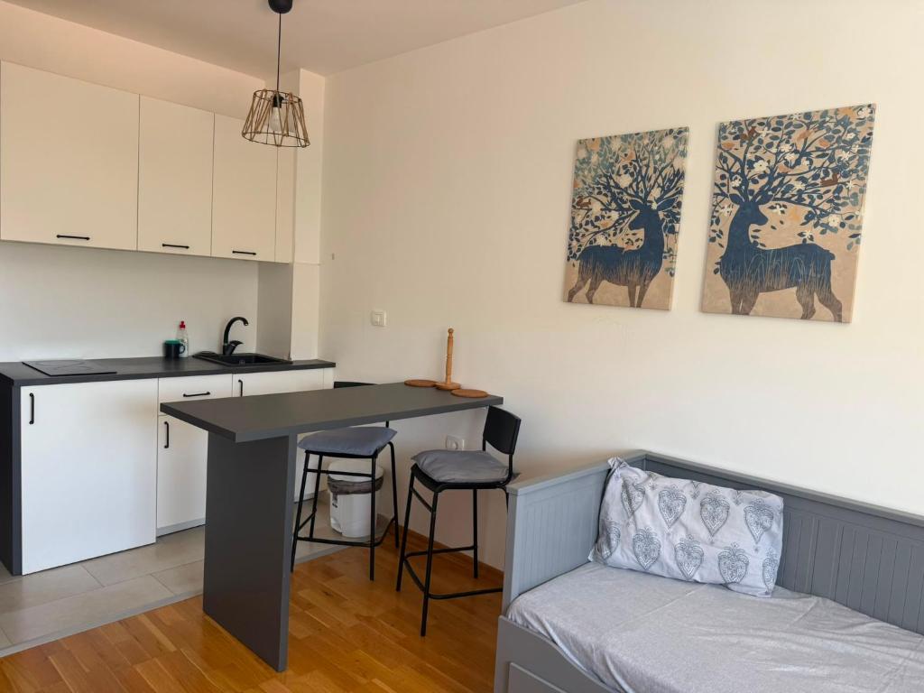 Pretty Apartment Budva for Single Stay - 5