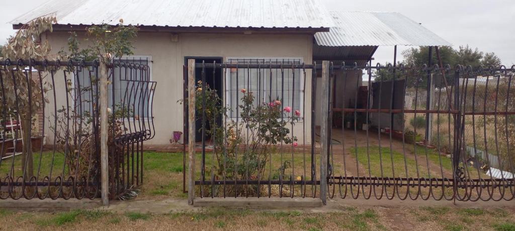 Mi Paraiso - 1