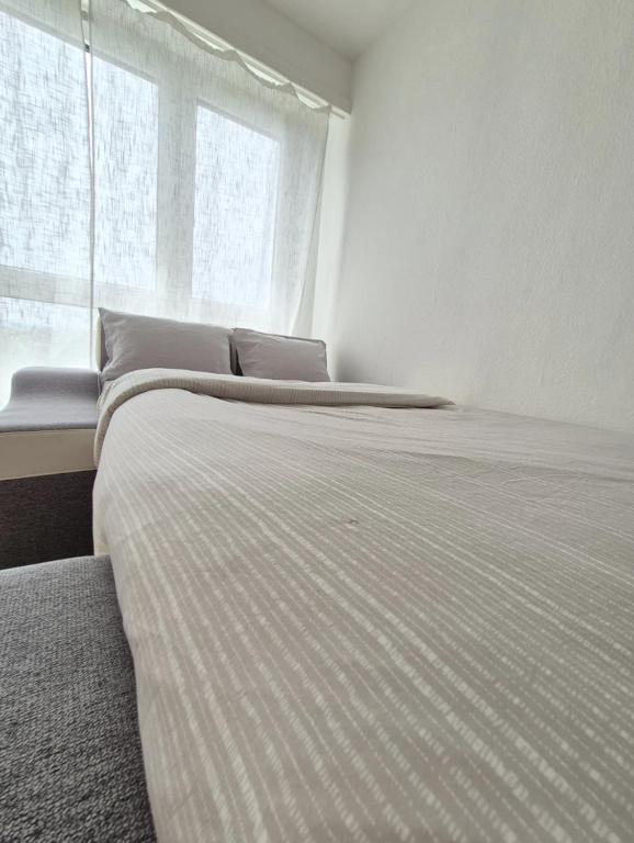 Apartment in Geneva - 10 min airport - 2