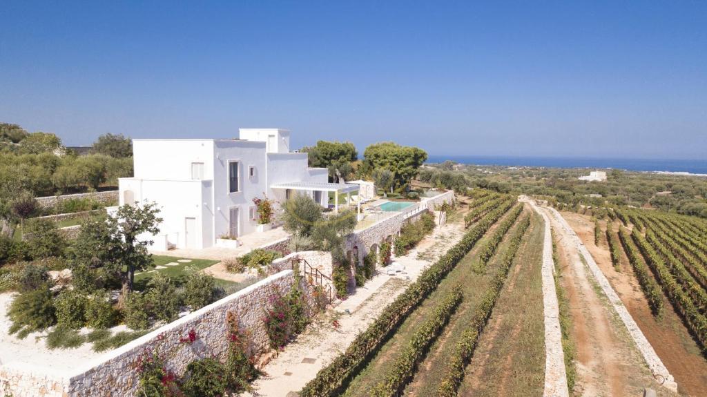 TD Tenuta Donna Madia Sea View Pool Over Vineyard - 2